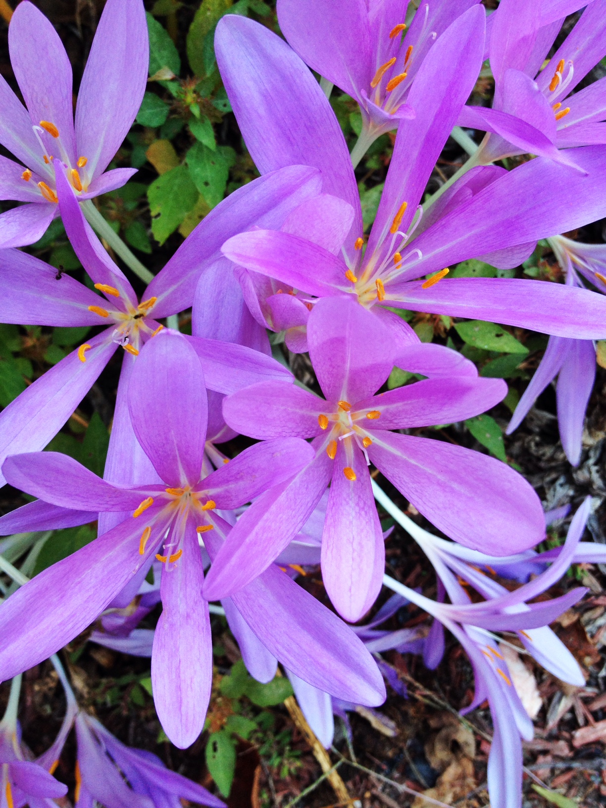 Desert Seasons and Daylight Savings: A Prayer
